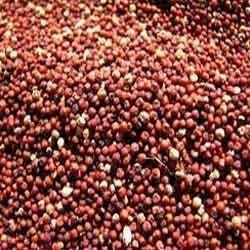 Red Millet