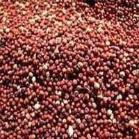 Red Millet - Small Round Grain, High Iron Content, Long Storage Time, Grown At 2000m+ In Arid Conditions, Nutrient-rich Superfood For Humans And Animals