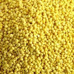 Yellow Millet By S. S. AGRI IMPEX