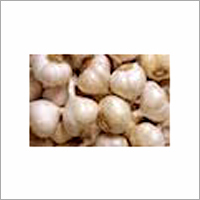 Fresh Garlic