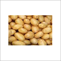 Fresh Potatoes