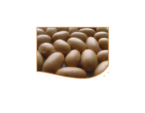 Fresh Coated Peanut