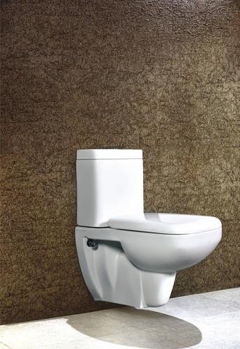 Concealed Wall Hung Toilet