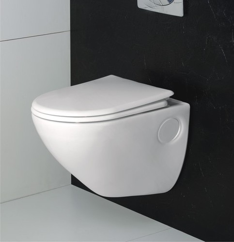 Wall Mounted Toilets