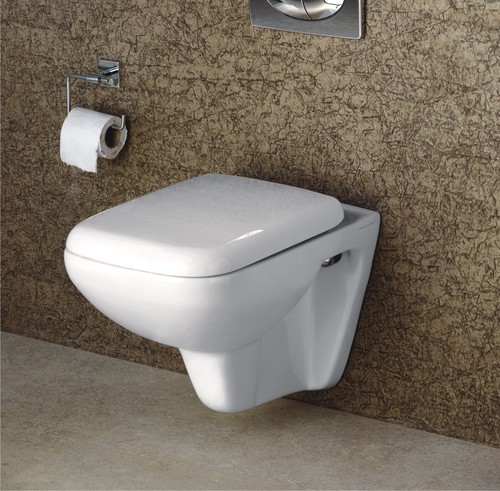Washdown Wall Hung Toilet