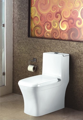 Designer One Piece Water Closet