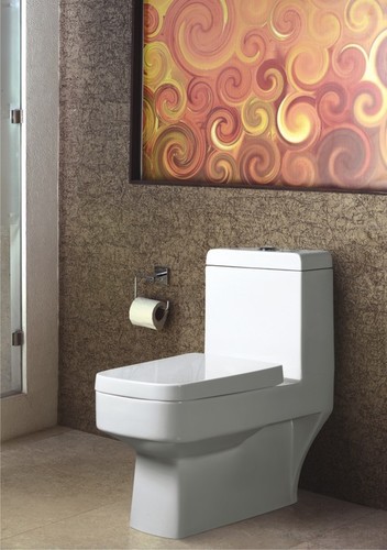 Standard One Piece Water Closet