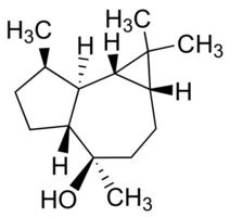 ()-Globulol