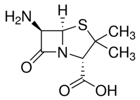 (+)-6-Aminopenicillanic acid