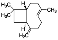 (a  )-trans-caryophyllene Density: 905 Kg/m Kilogram Per Cubic Meter (kg/m3)