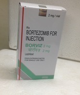 Borviz