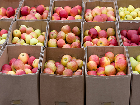 Fruit Packaging Cartons