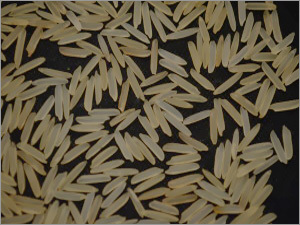 Pusa Basmati 1121
