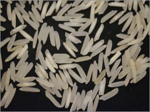 Pusa Basmati 1509