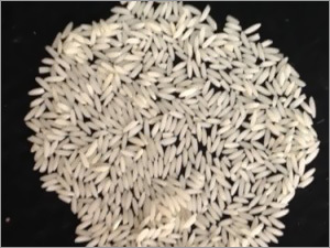 Jeera Rice