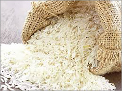 Swarna Masoori Rice