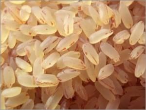 Matta Rice