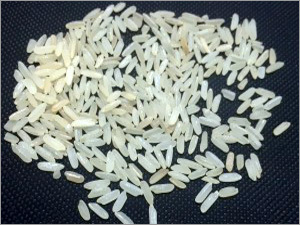 IR 36 Rice