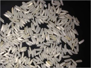 IR64 Rice