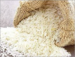 IR8 Rice