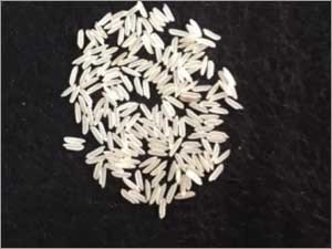 Pr11 Rice