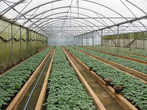 Green House Roof Net