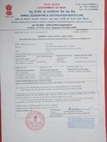 Phytosanitary Certification Services