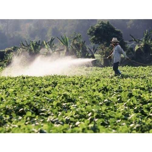 Corazon Organic Pesticides Application: Agriculture