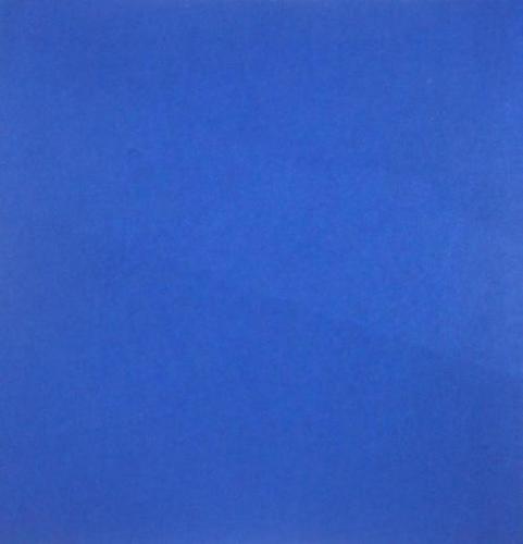 Tricot Brushed Fabric