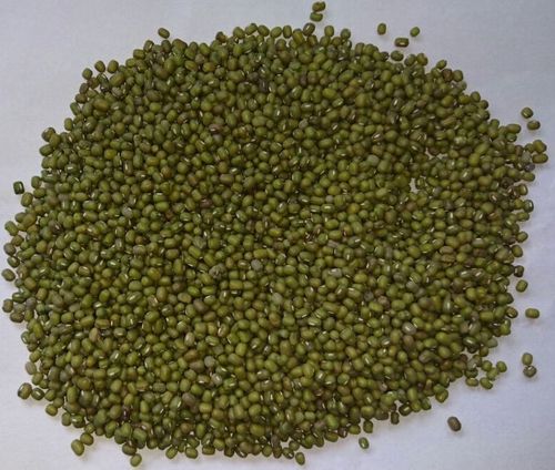 Green Gram - Whole Mung Beans 98% Purity Organic Green Color Rich in Taste and Nutritional Value