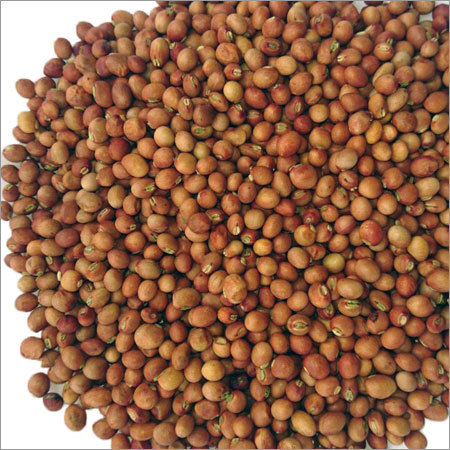 Organic Yellow Lentil