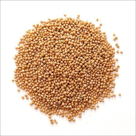 Organic Yellow Mustard Seed