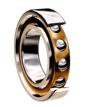 Stainless Steel Four Point Contact Bearings