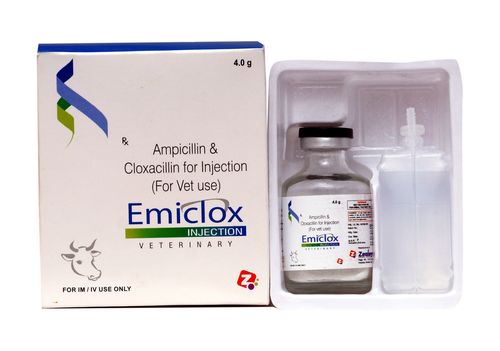Ampicillin & Cloxacillin Injection