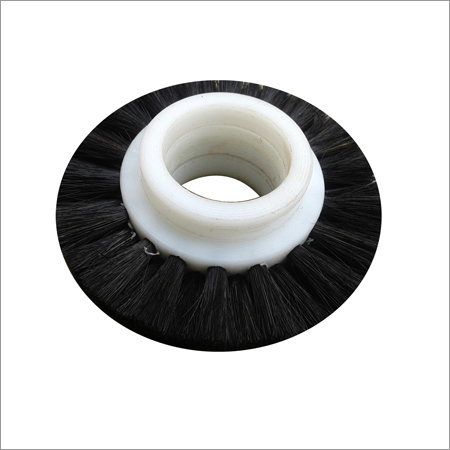 Cylindrical Brushes