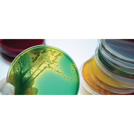 Antibiotics