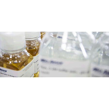 Cell Culture Additives