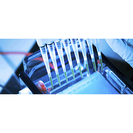 DNA, RNA and PCR products