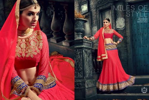 Heavy Embroidered Lehenga