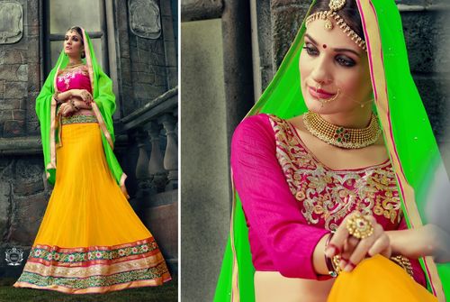 Heavy Embroidered Lehenga Choli