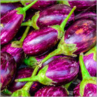 Fresh Brinjal
