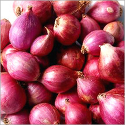 Fresh Red Onion