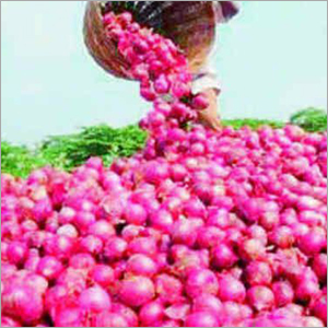Fresh Onion