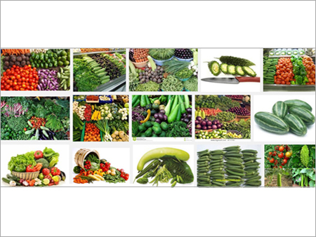 Indian Vegetables