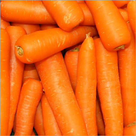 Fresh Carrot