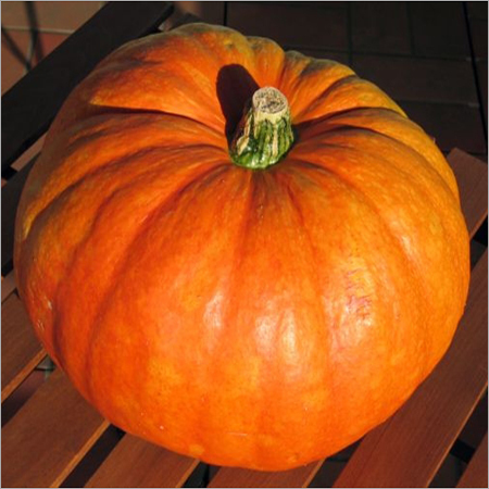 Fresh Pumpkin
