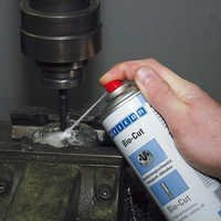 Lubricating and Multifunctional Oils
