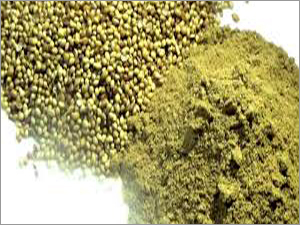 Coriander Powder