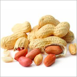 Groundnuts