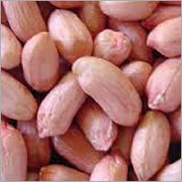 Groundnuts - Pink Oval Shape Varied Size | High Yield Disease Resistant Rich Flavor Nutrient-Rich Easy to Grow Versatile Use Low Moisture